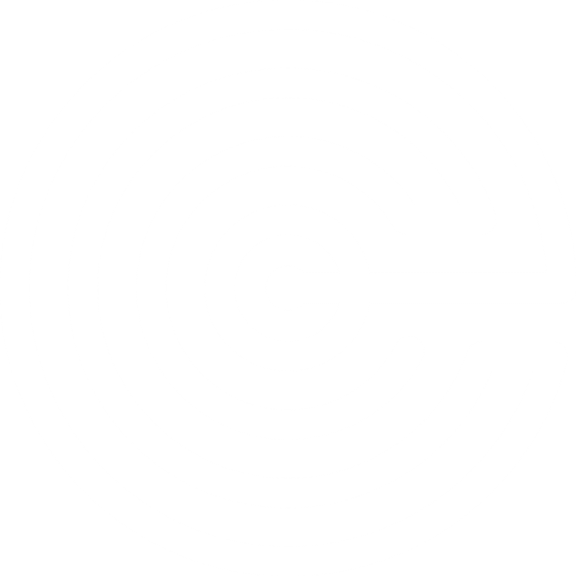 logo-big-white
